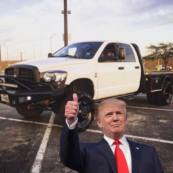 Meet your Posher, Thomas - Picture 1 of 1